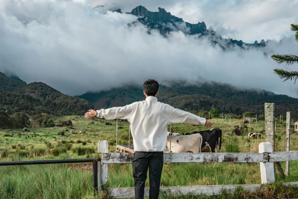 A guy taking picture at the johor farmstay