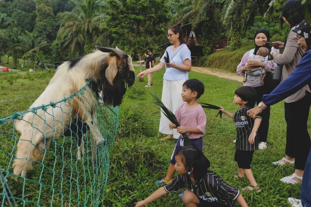 families in Talula Hill Farm Resort spending time together